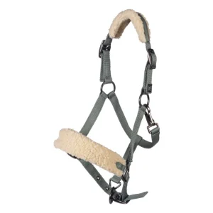 Licol HKM Mia pour shettys