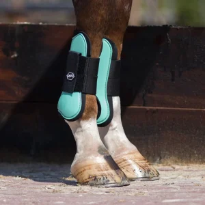 Guêtres shetlands, poneys et chevaux QHP