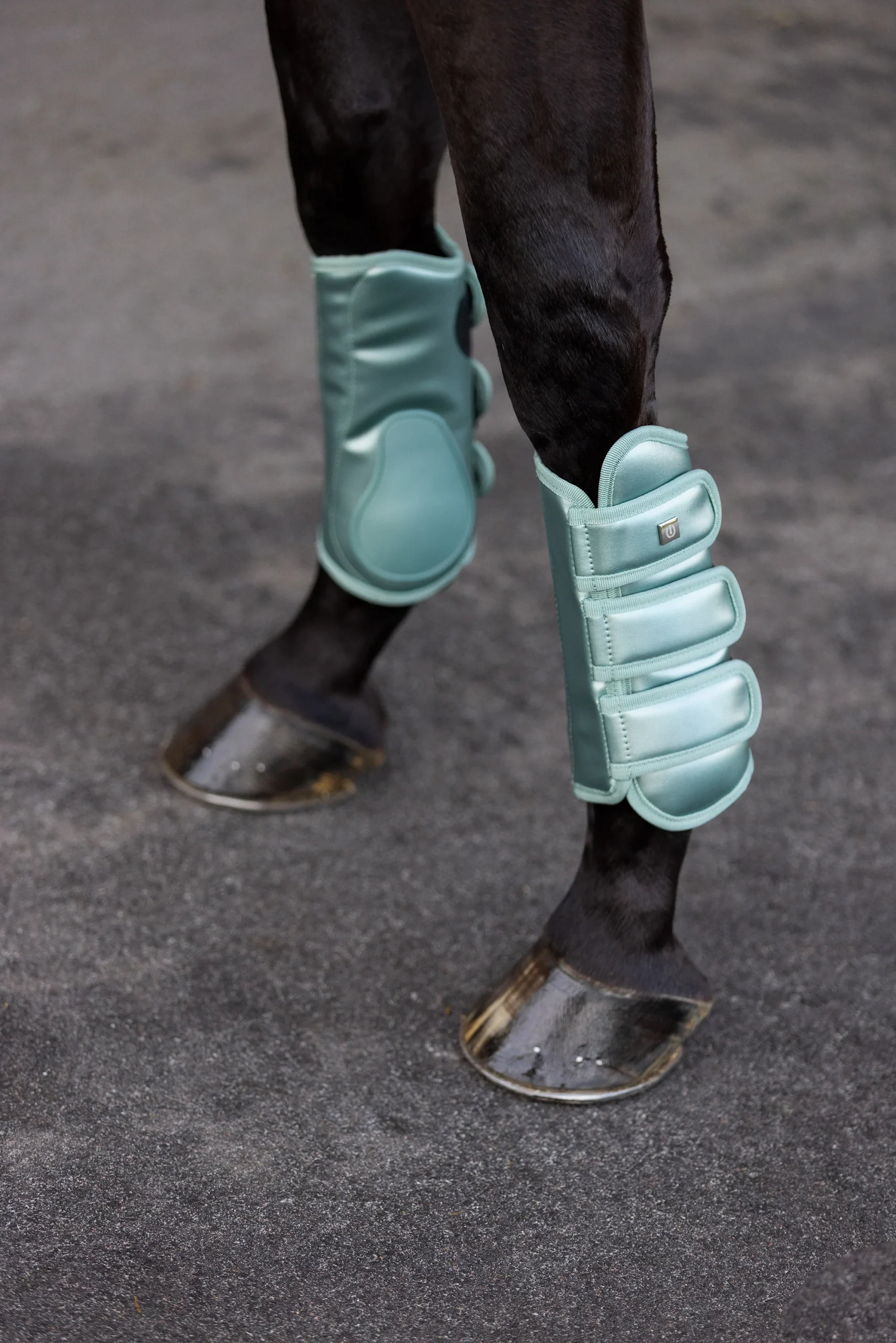 Guêtres de dressage Imperial Riding Lovely – Image 6