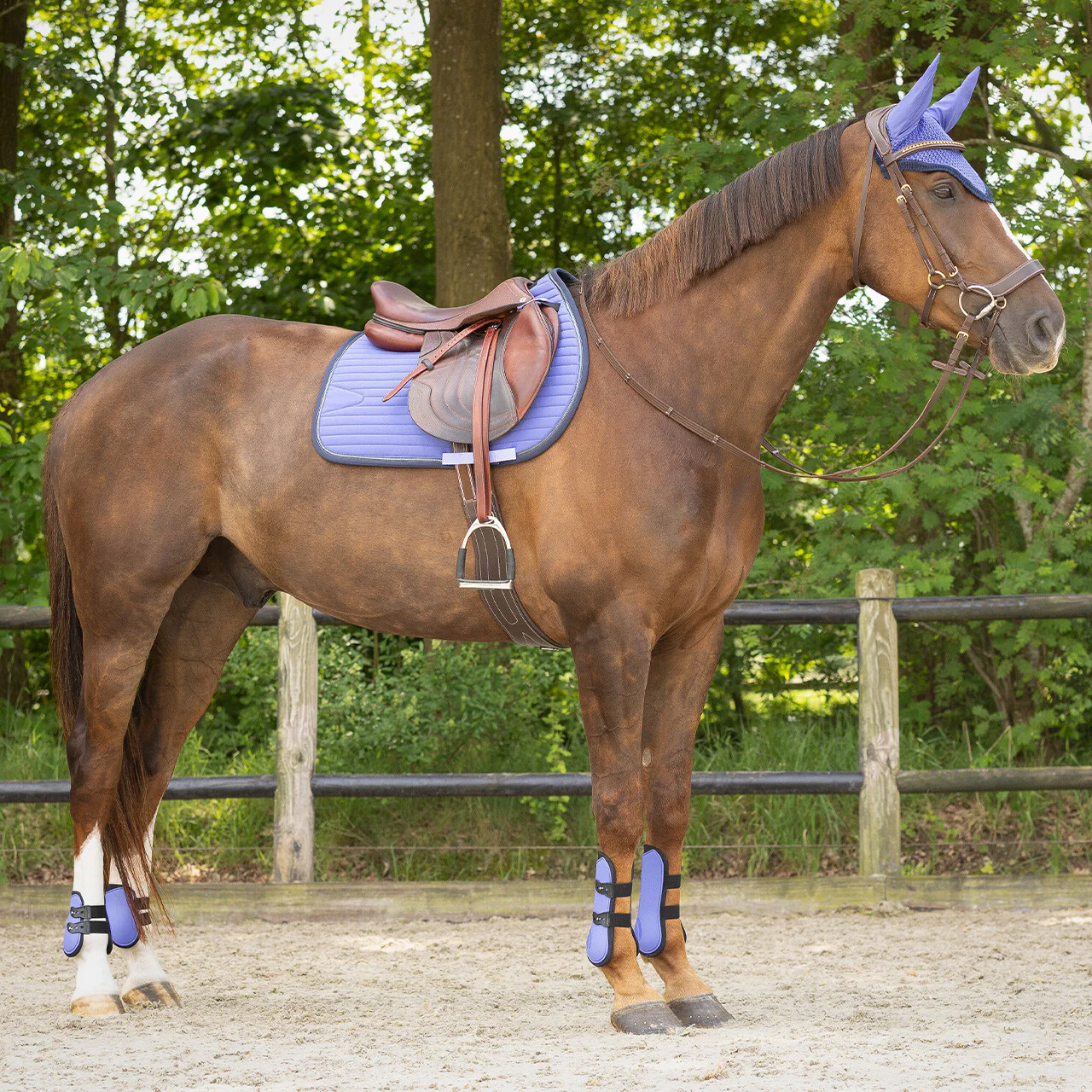 Bonnet anti-mouche QHP Nyomi – Image 3