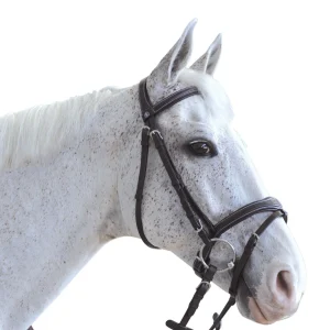 Bridon Canter Ornella