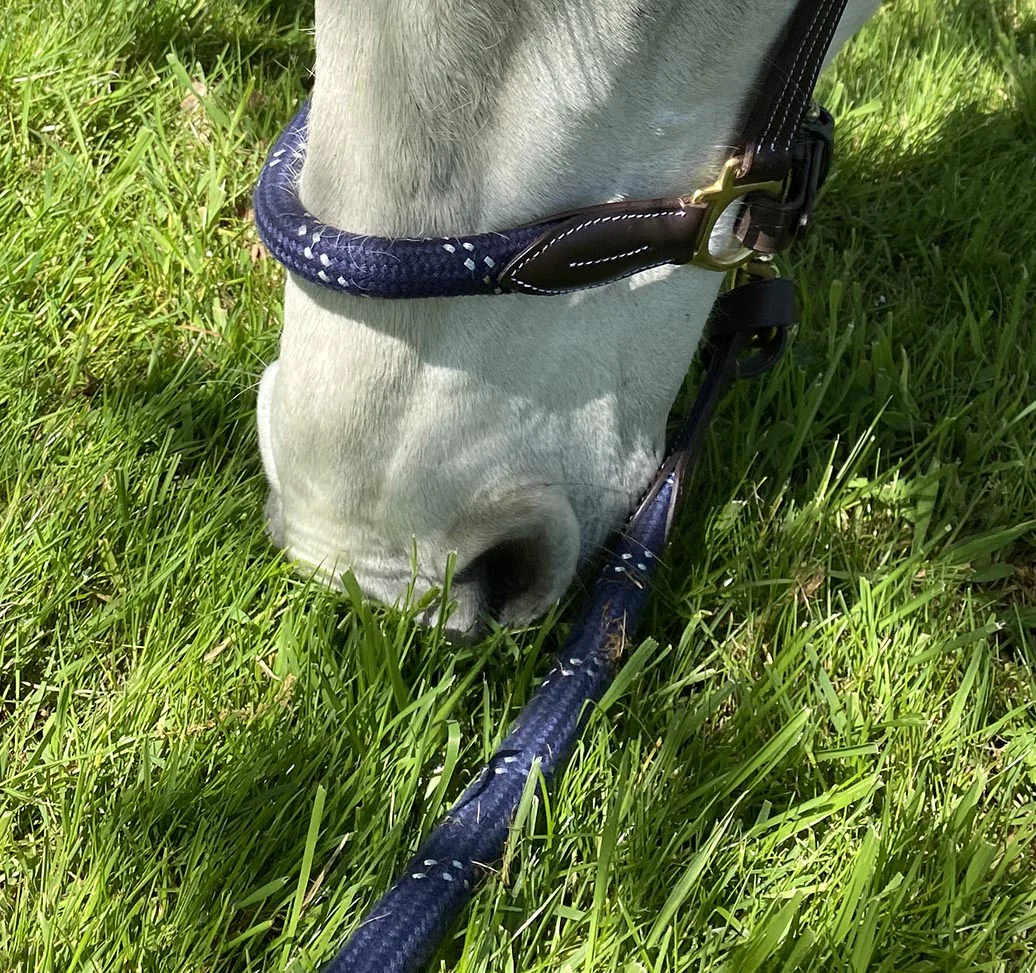 Licol Canter Corde – Image 2